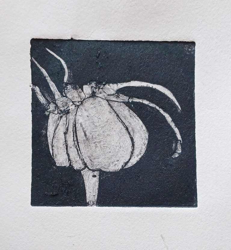 grafiek in natuurlijke tinten